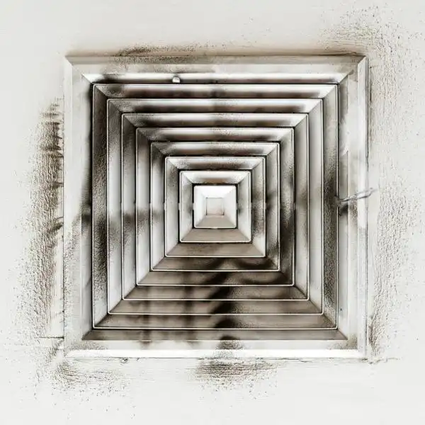 Mold in AC system