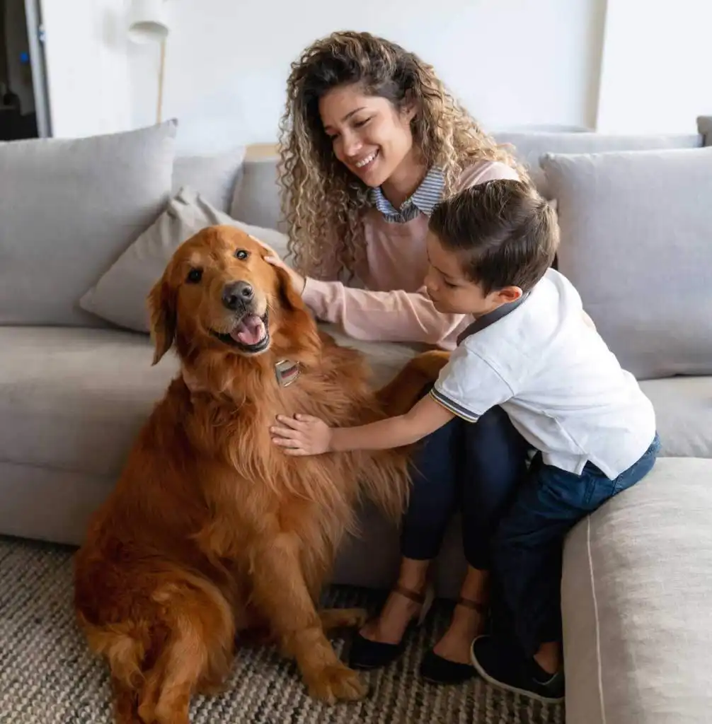 How to Improve Indoor Air Quality