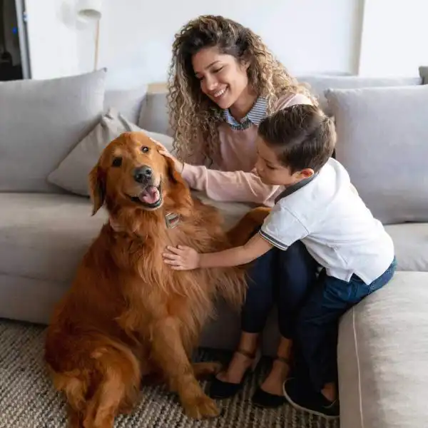 How to Improve Indoor Air Quality