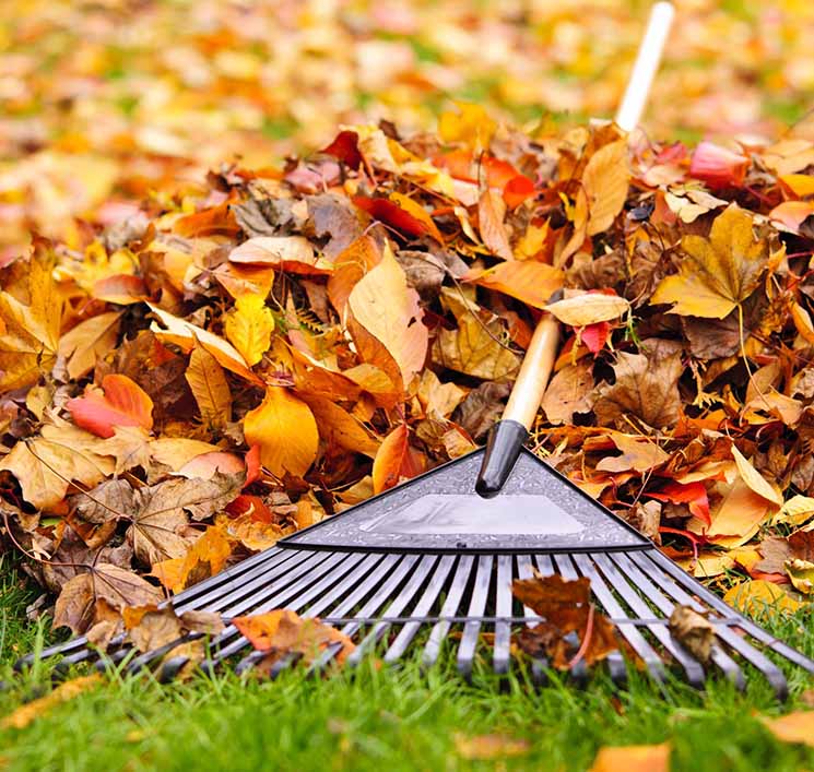 Fall HVAC Maintenance Tips