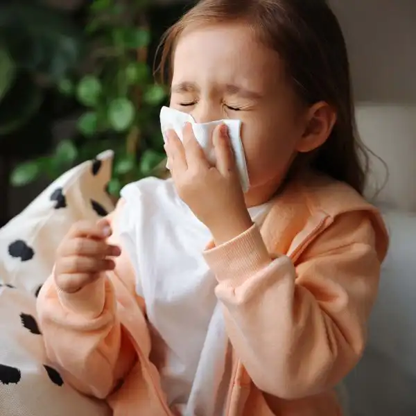 HVAC Indoor Air Quality