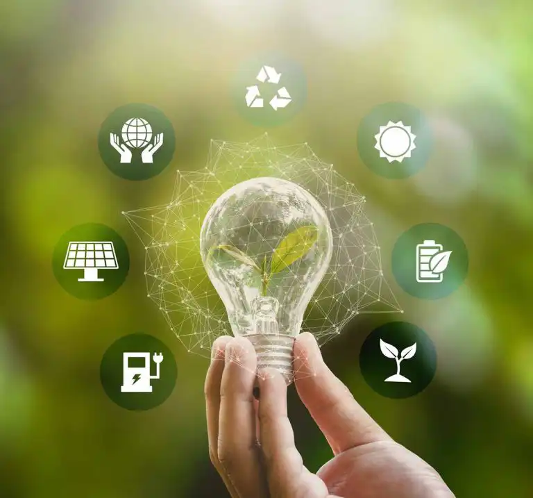 The Truth About Home Energy Efficiency