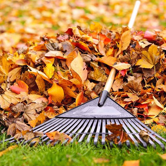 Fall HVAC Maintenance Tips